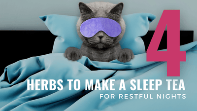 4 Herbs to Make a Sleep Tea for Restful Nights